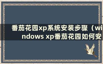 番茄花园xp系统安装步骤（windows xp番茄花园如何安装）